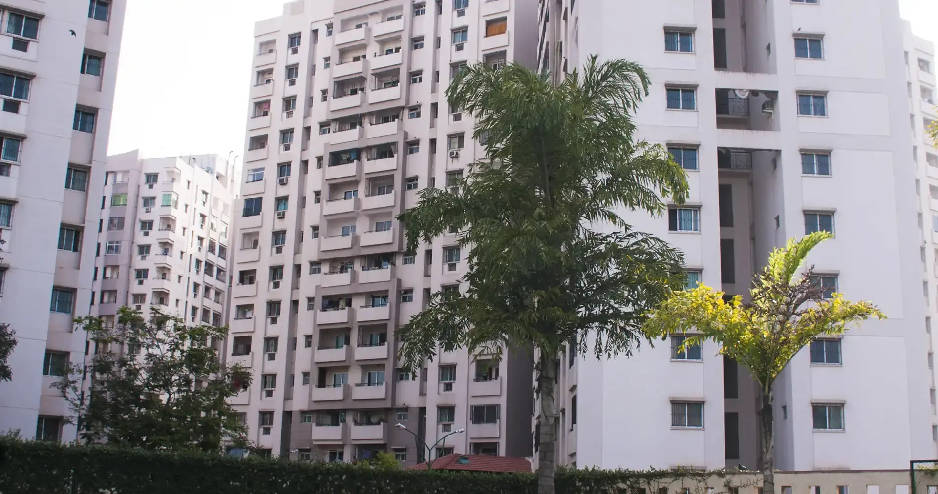 Brigade Gardenia